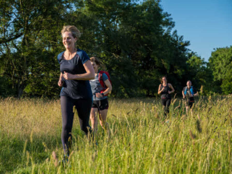 Four people running through a grassy field with trees in the background under a clear blue sky, dressed in athletic clothing and appearing to take part in outdoor exercise or a running event.